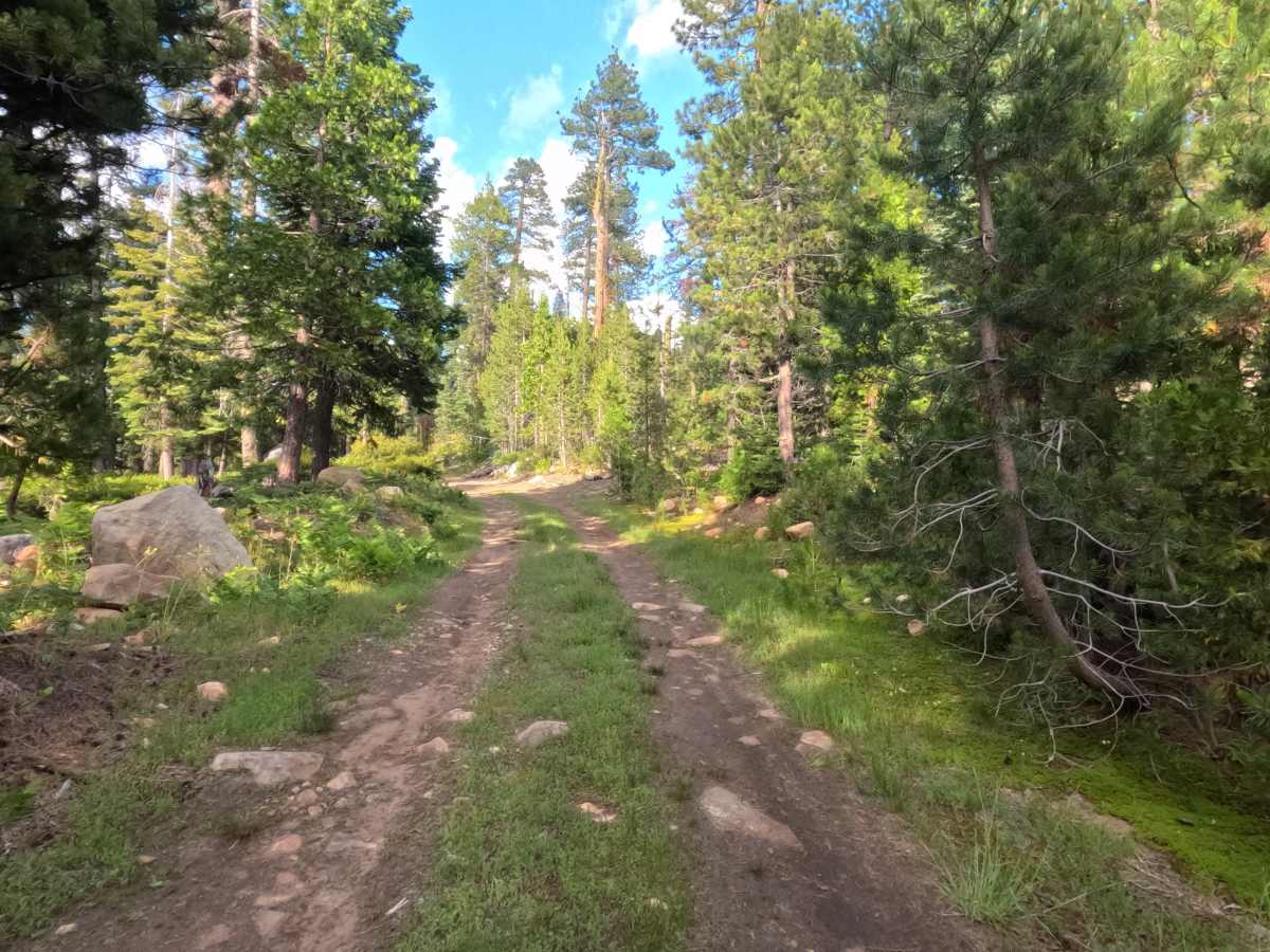 Table Rock Spur - FS 11N37B photo 3
