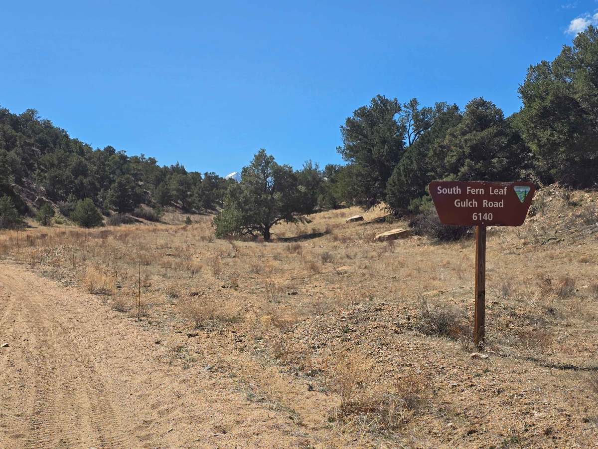South Fern Leaf Gulch Road - BLM 6140 photo 3