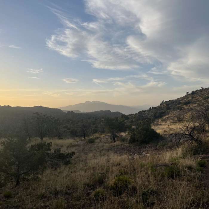 Near Reavis Gap Trail #117
