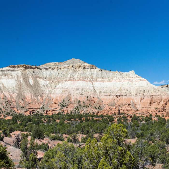 Near Panorama Trail - Main Loop