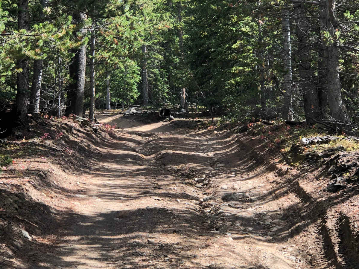 Hayden Gulch photo 5