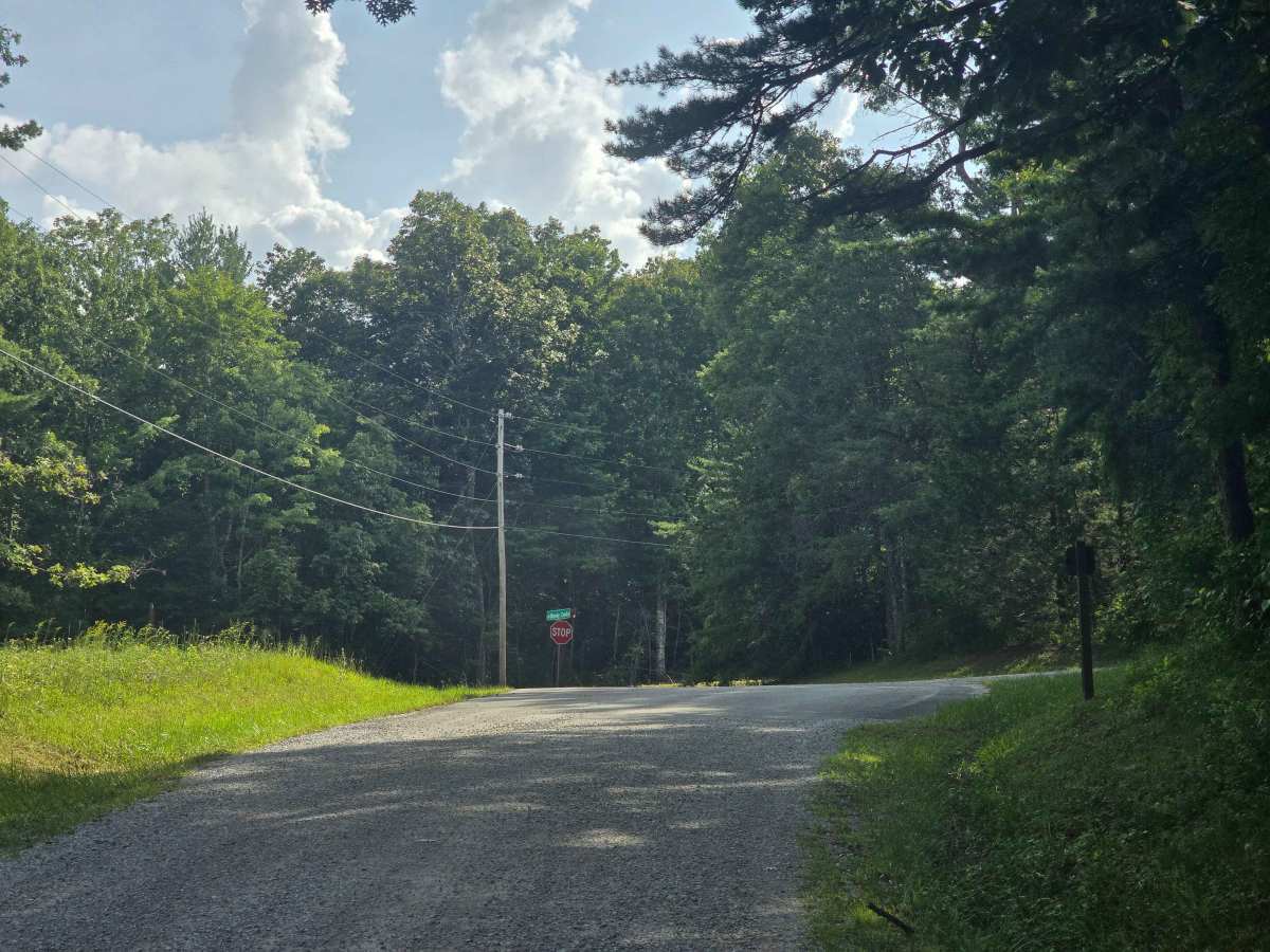 Bandy Creek Road photo 6