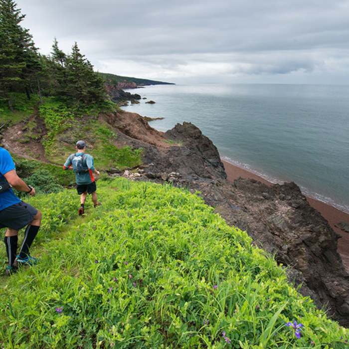 One of the many open sections looking out over the bay. Cape Chignecto is in the distance. Near Cape Chignecto Provincial Park Loop