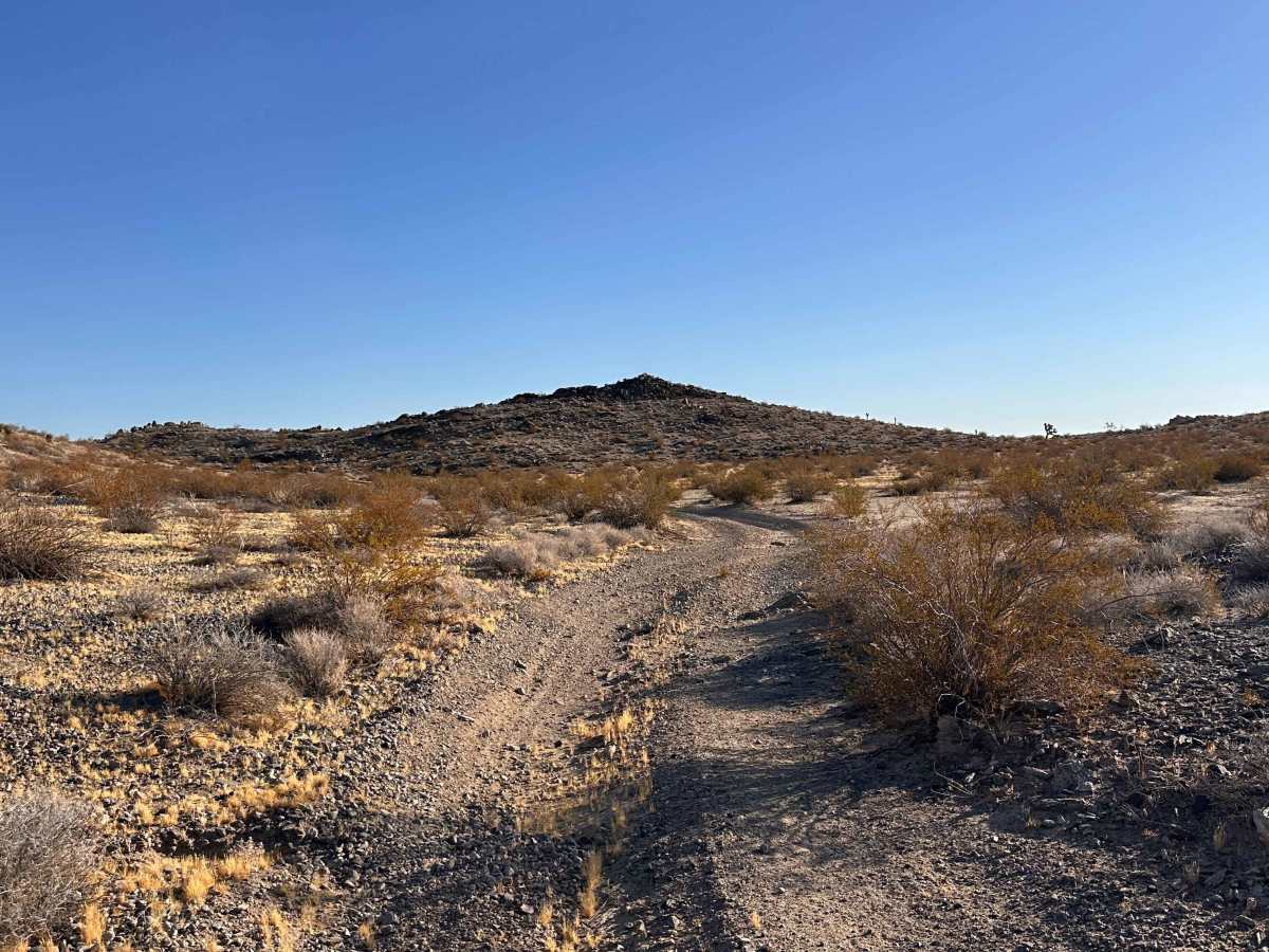 Wild Horse Trail trail photo