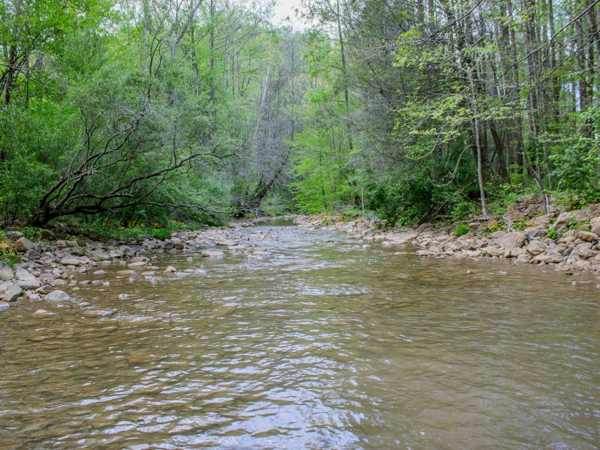 Patterson Road photo 2