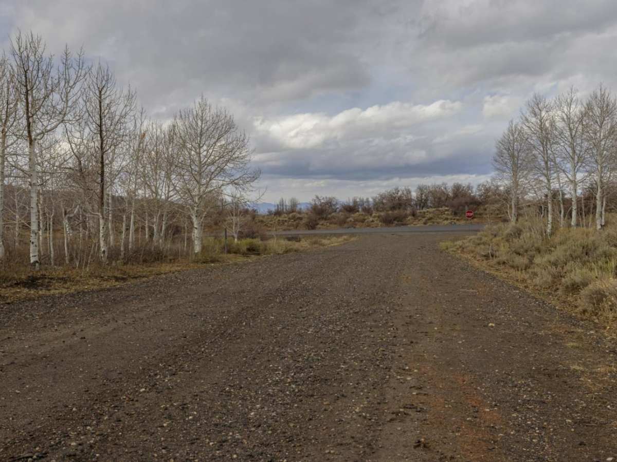 Sheep Creek Road photo 5