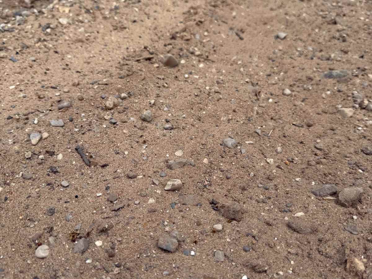 Samels Trail photo 2