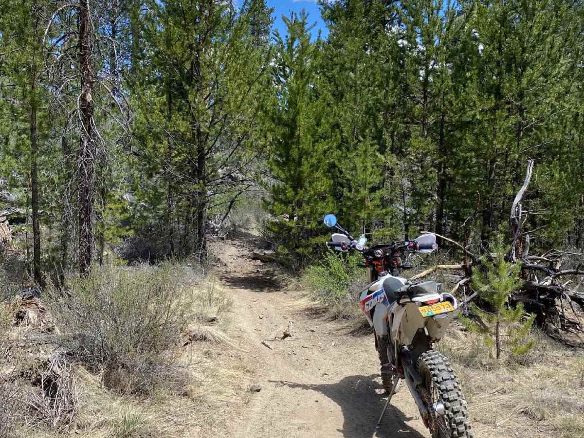 Chesley's Challenge trail photo