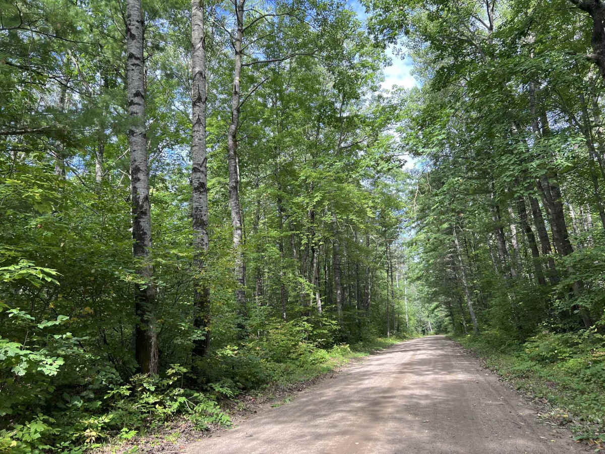 Knowles Creek Road - FS 2349 photo 3
