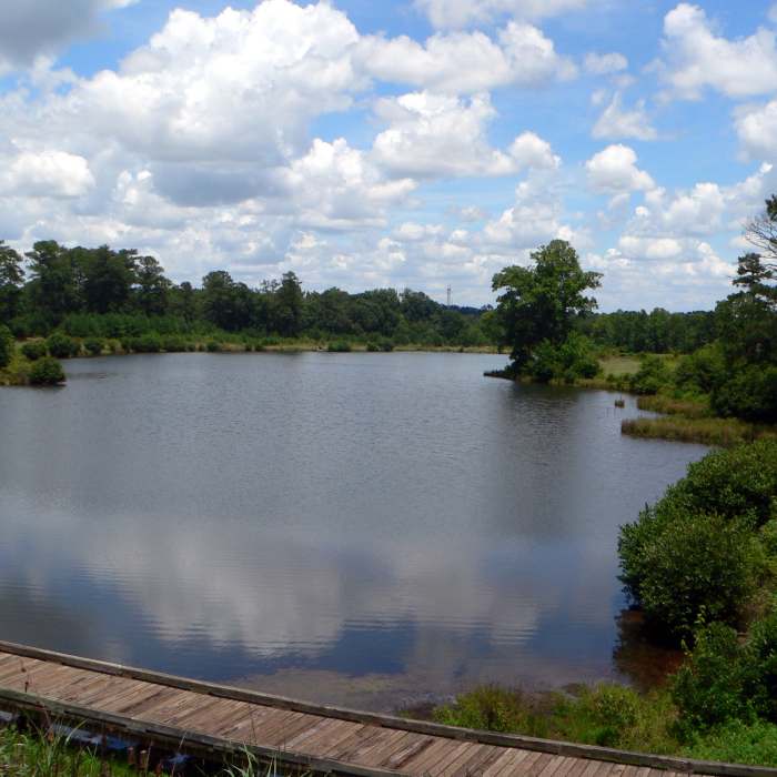 Alexanders Lake from the Rockdale River Trail Near Arabia Mountain Trail to Panola Mountain/Lake Alexander