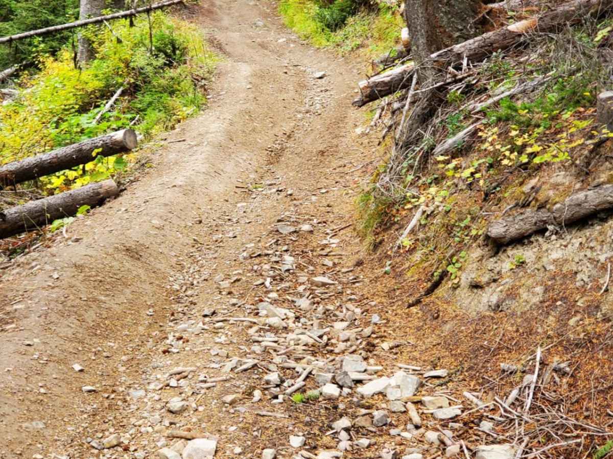 Blue Mountain Lookout Spur (6.07) trail photo