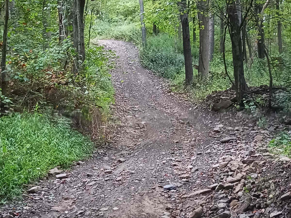 Rock Den - Rock Run Recreation Area photo 2