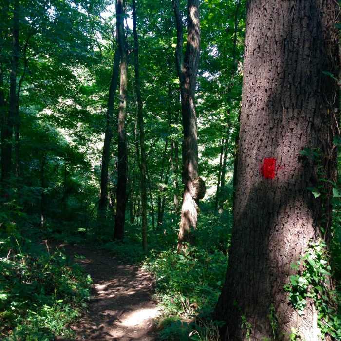 Near Mossy Ridge Trail, Warner Parks