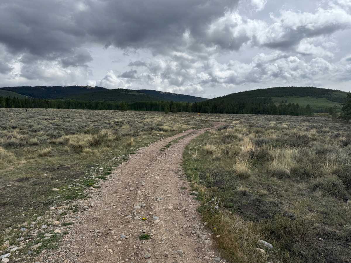 FS 189 trail photo
