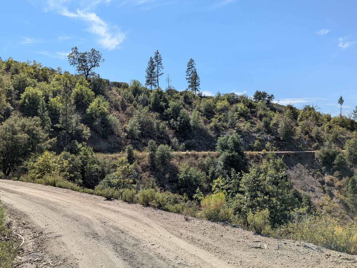 Moore Pilot Ridge - FS 2S14 trail photo
