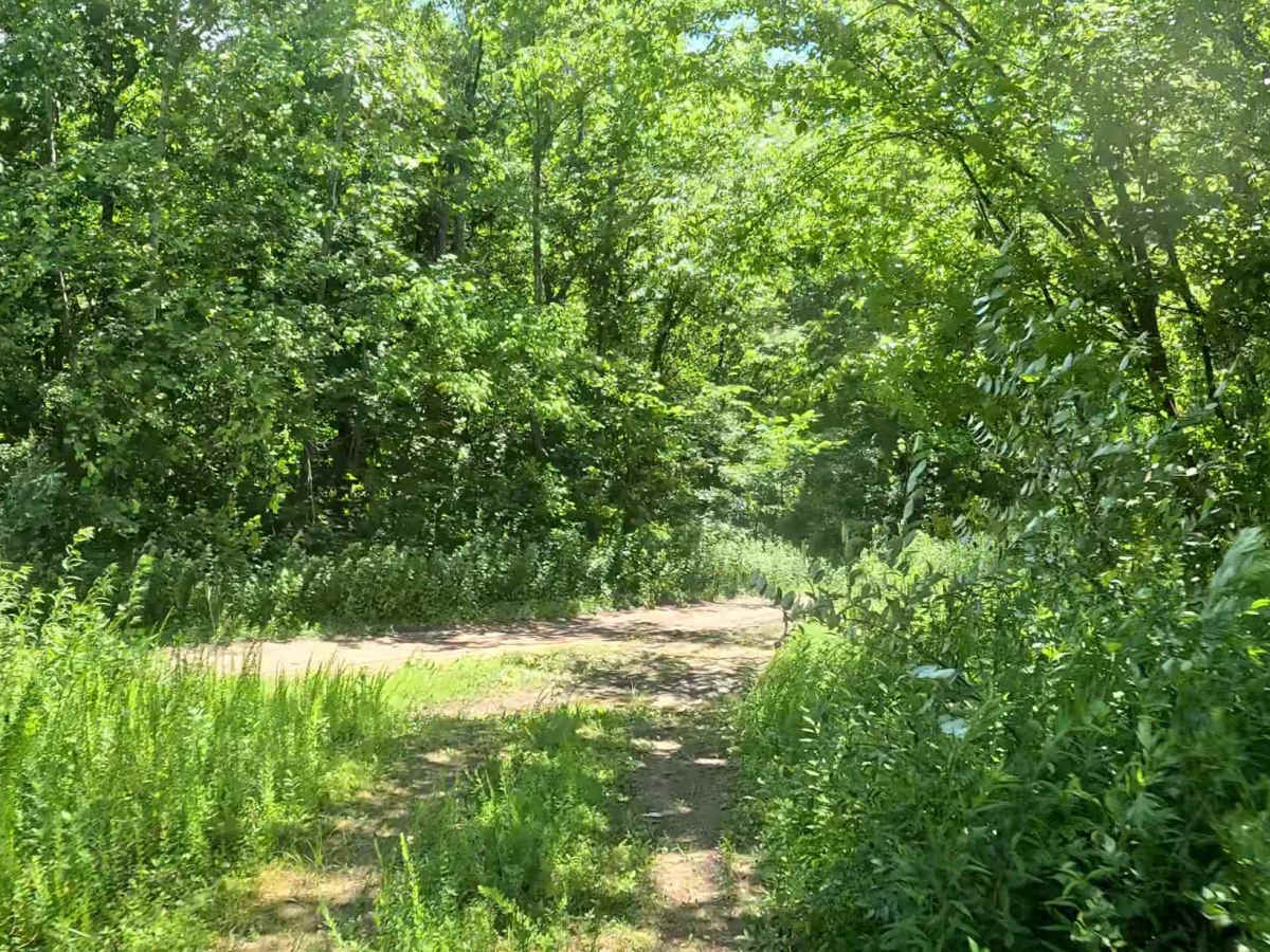 W23A trail photo