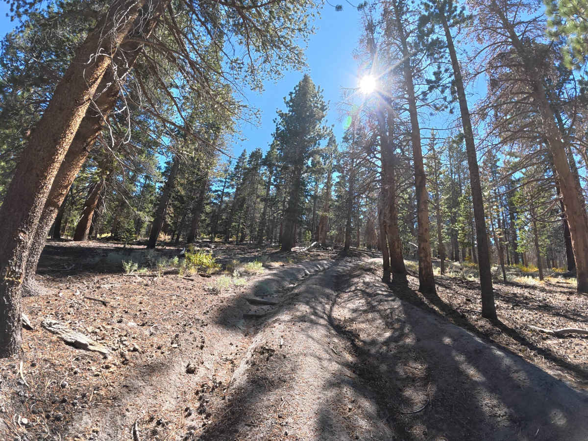FS 1S154 photo 6
