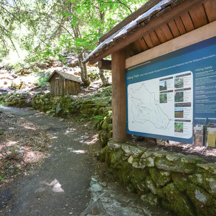 Near Big Tree Loop Trail