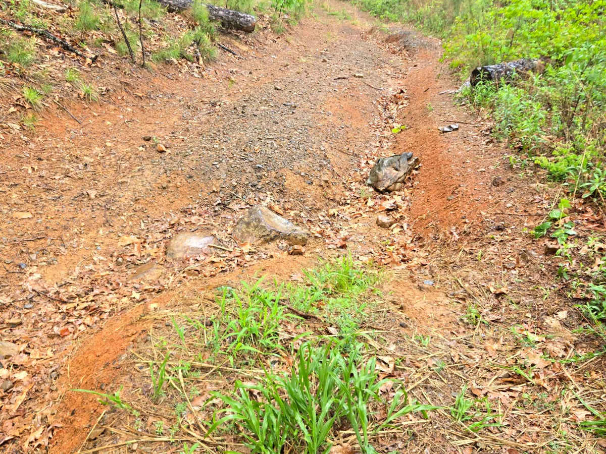 Burr Ridge photo 2