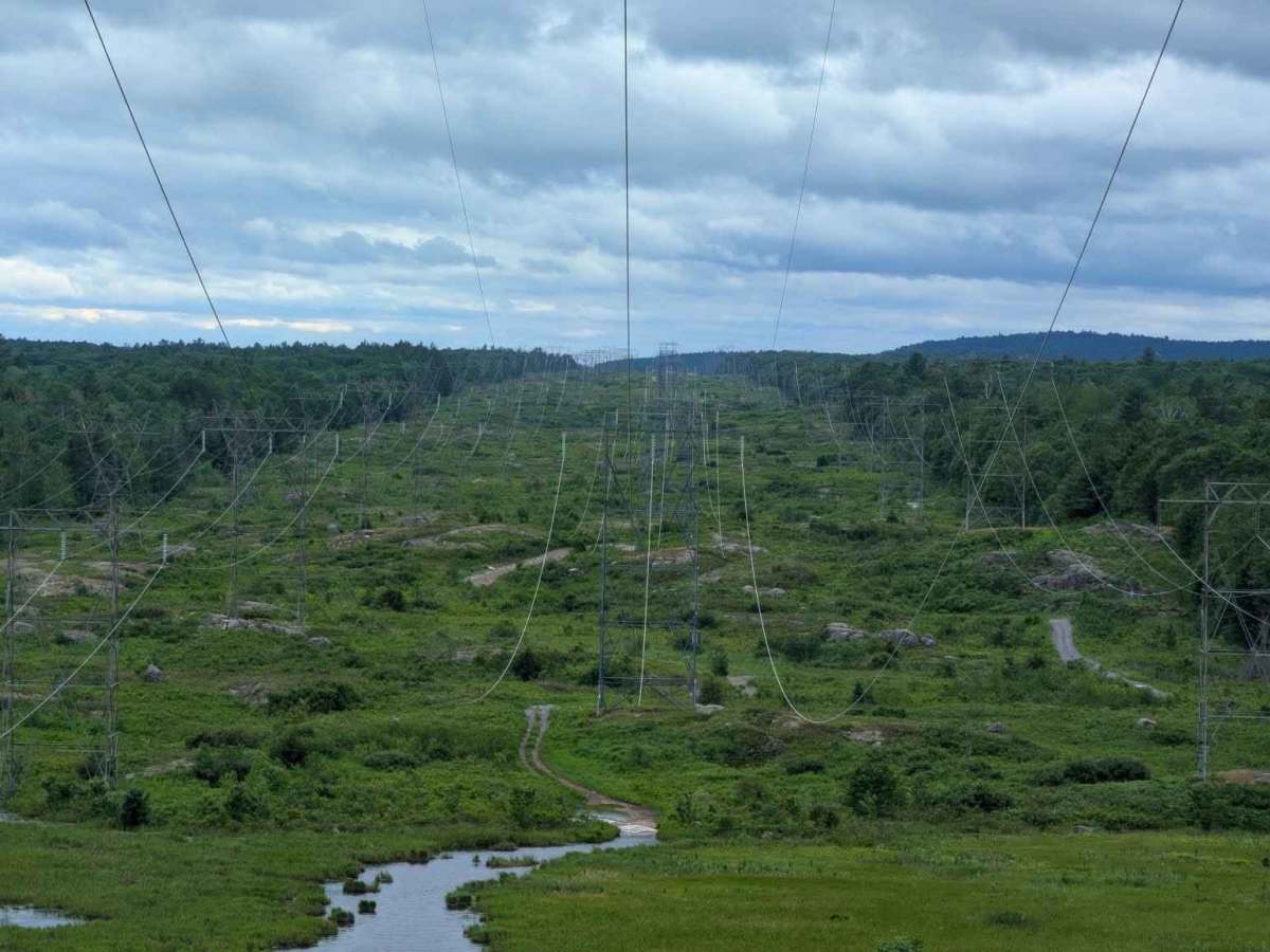 Lingham Hydro Line trail photo