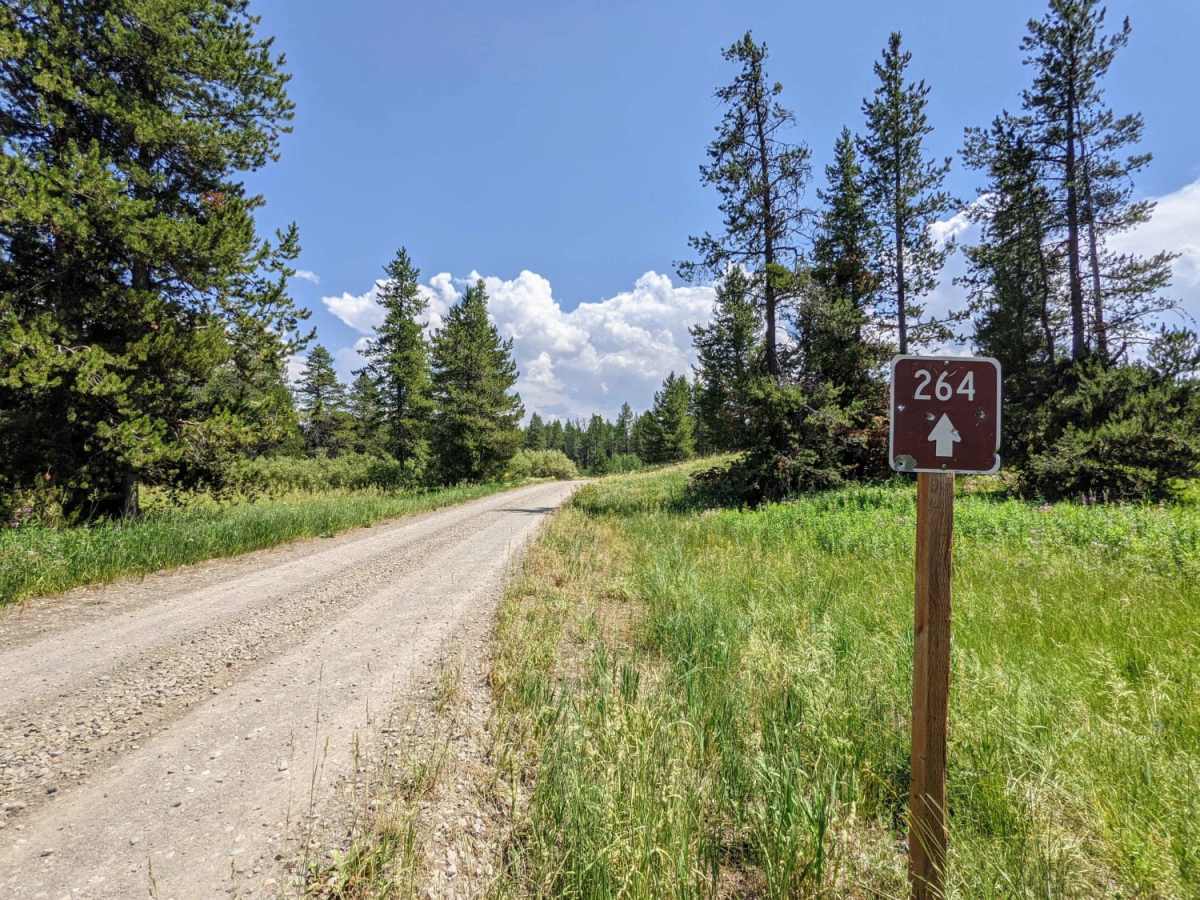 Jackass Loop Trail (FS 264) photo 5