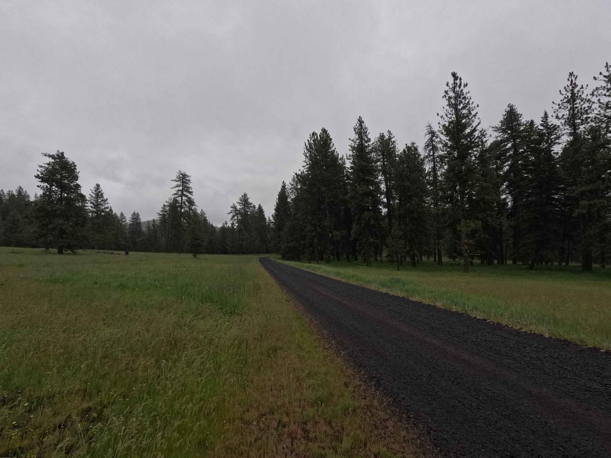Spring Mountain - FS 3109 photo 3