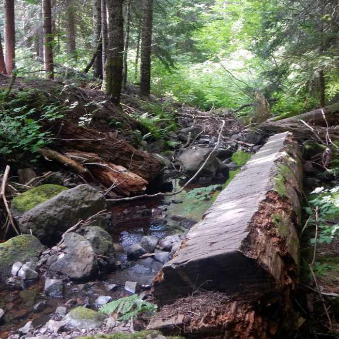 Near Middle Pyramid Hike