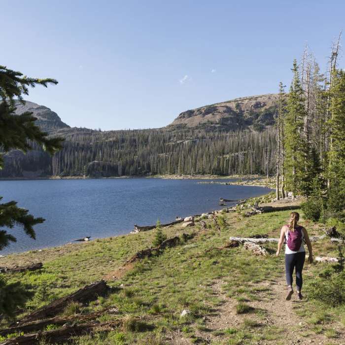 Near Clyde Lake Loop