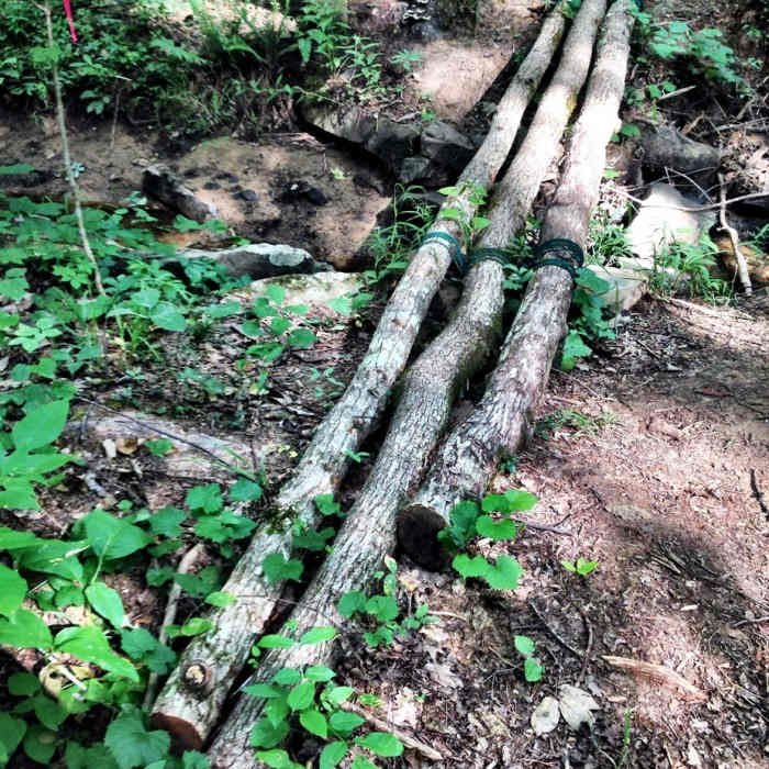 Homemade bridge crossing a small creek. Near Green Mountain Preserve and Buzzard Falls