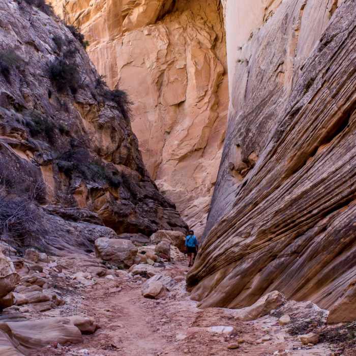 Near Cottonwood Narrows