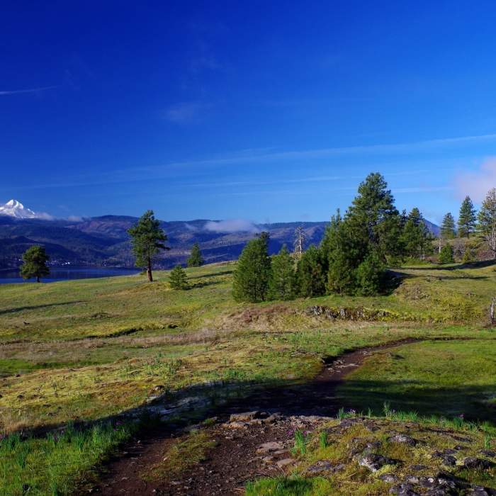 Near Catherine Creek