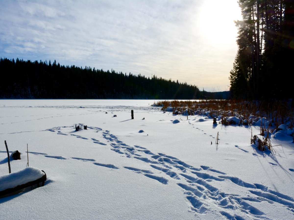 Beaver Lake Rd trail photo