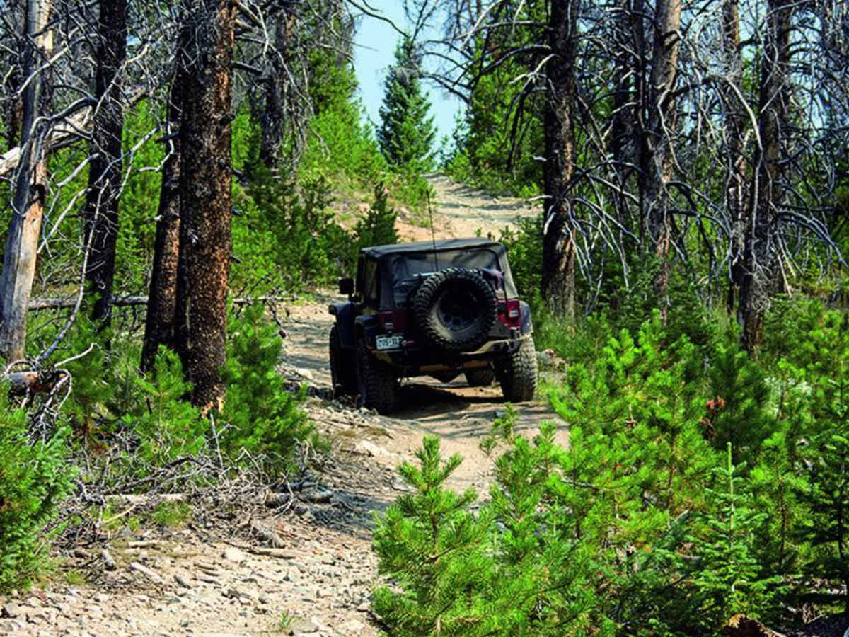 Ellis Jeep Trail photo 6