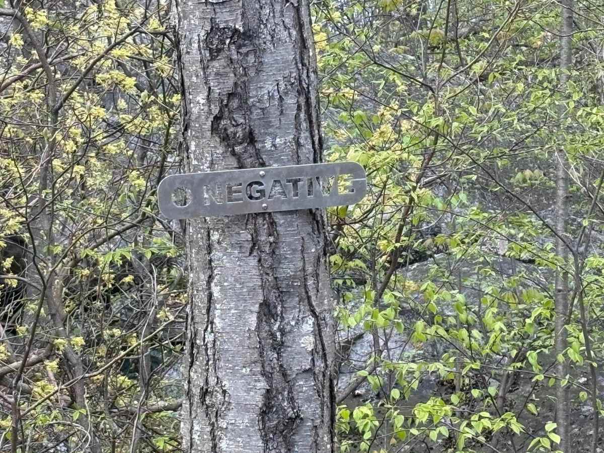 O Negative  trail photo