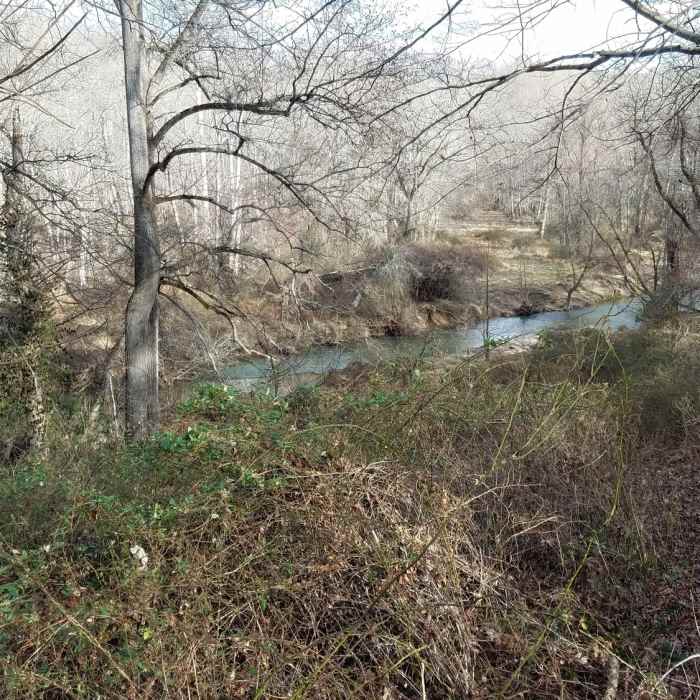 Near Patuxent River Trail