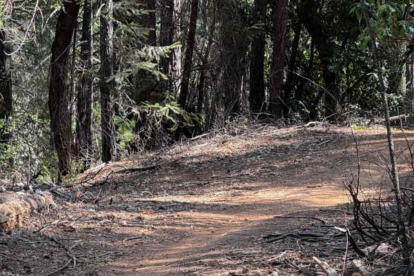 Trail 1-2 (11E36)  