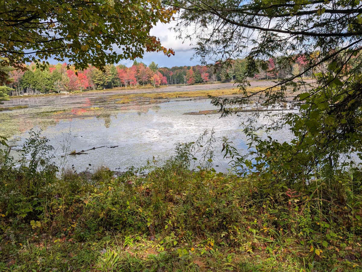 Boyd Pond Access Road photo 4