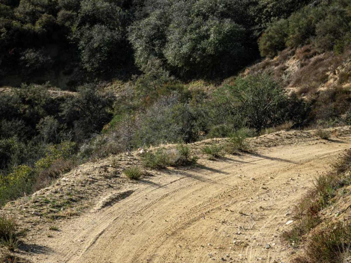 Lake Hughes Truck Trail trail photo