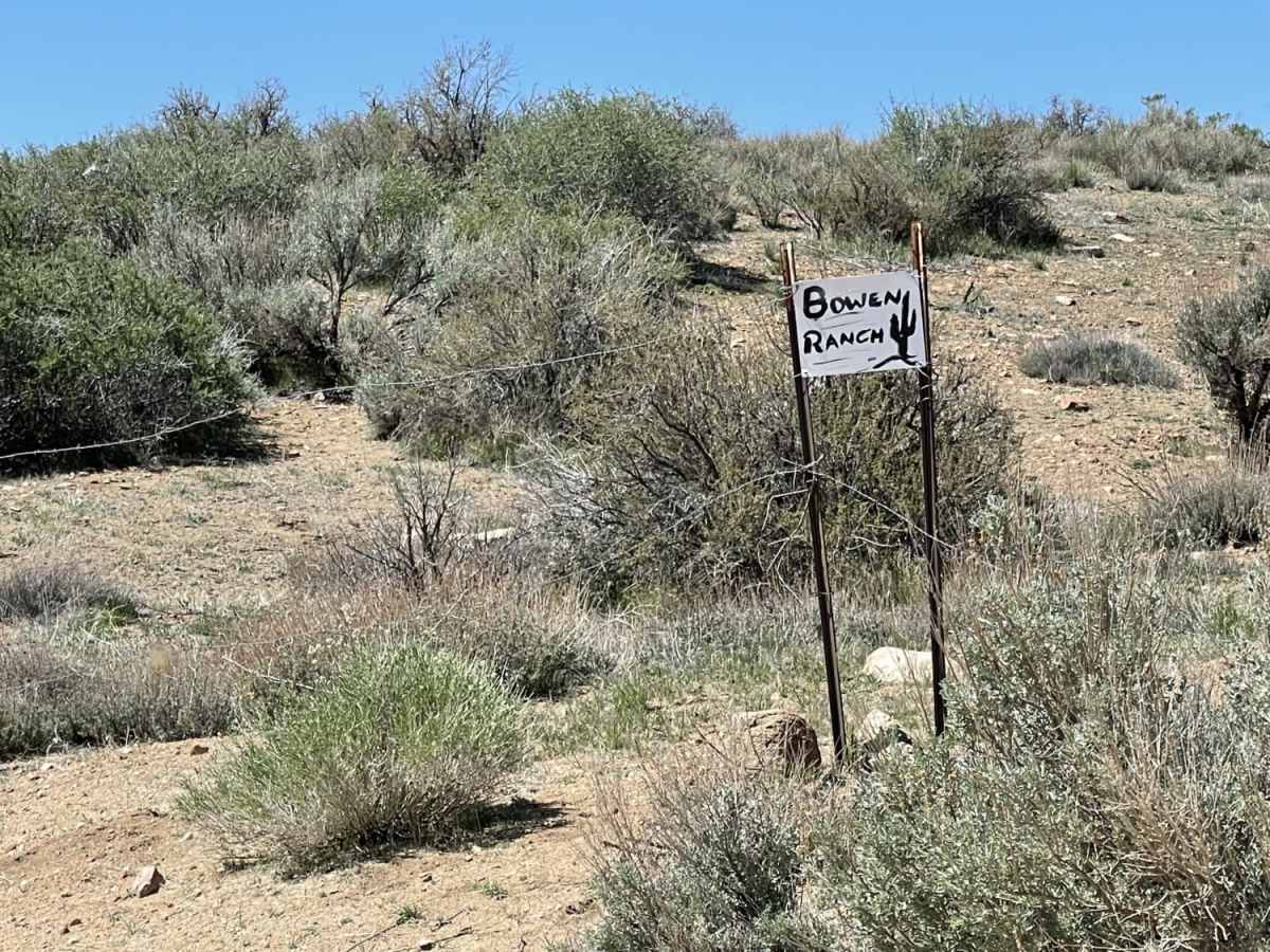 Bowen Ranch photo 5