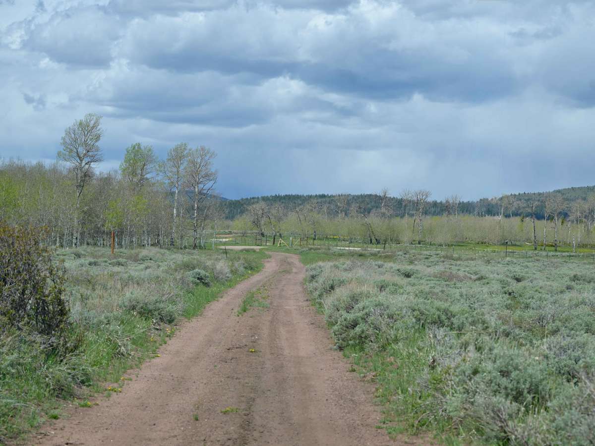 Range Study Loop - FS 10217 photo 4