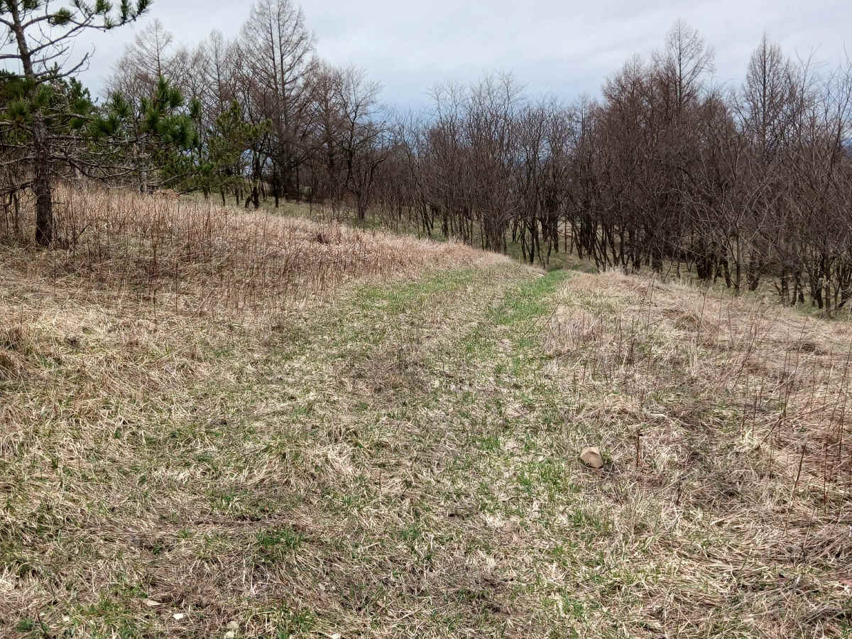 Trail 4K - Rock Run Recreation Area photo 2