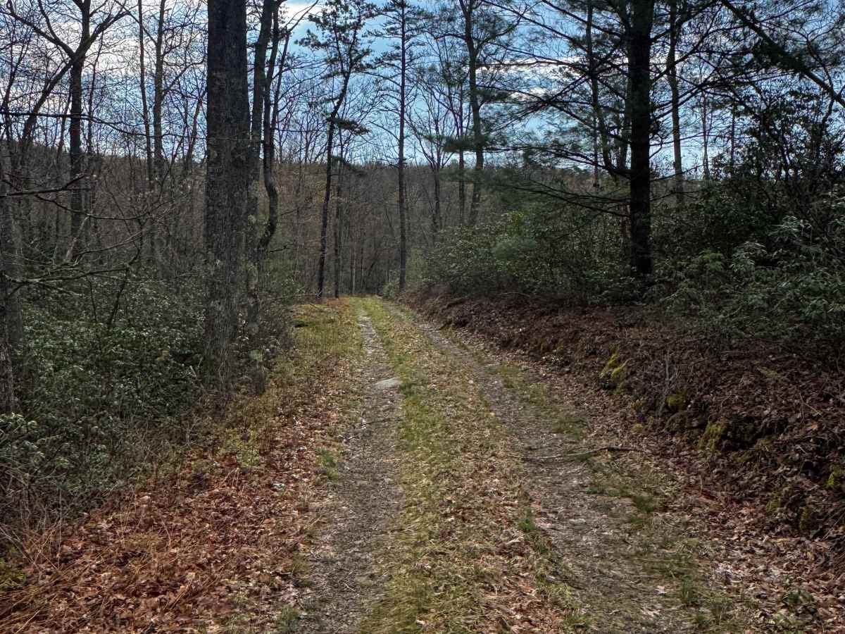 Eagleton Fields Trail photo 2