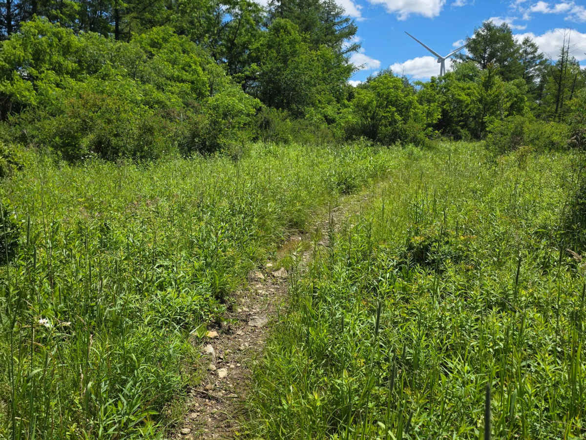 Single Track NN photo 2