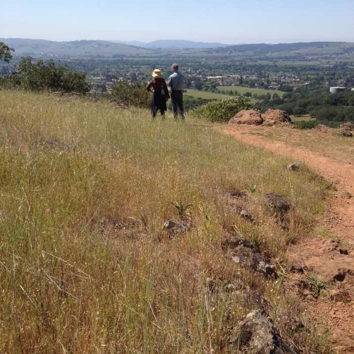 Near Sonoma Overlook Trail