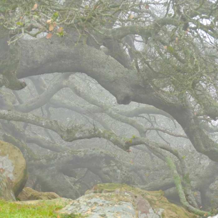 Near Newell Open Space Preserve