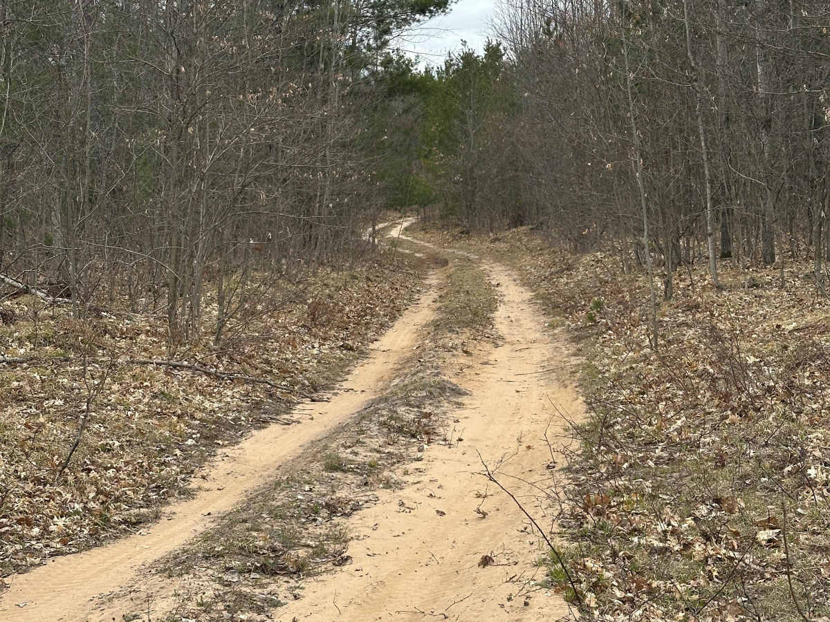 Pipeline Loop photo 5