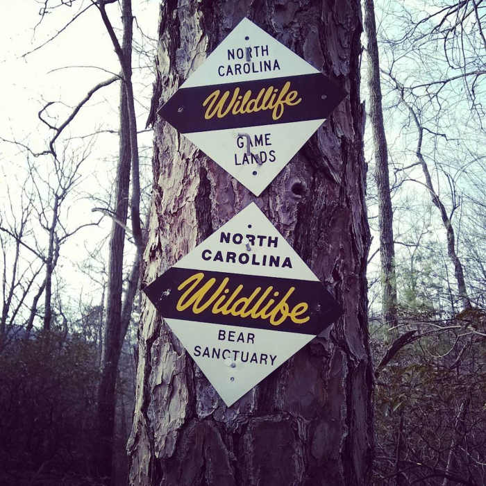 Saw these signs frequently as the trail borders gamelands Near Flat Rock Ridge Trail