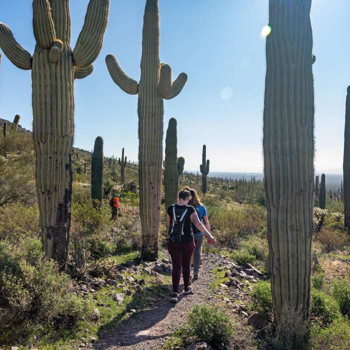 Near Sunset Vista Trail