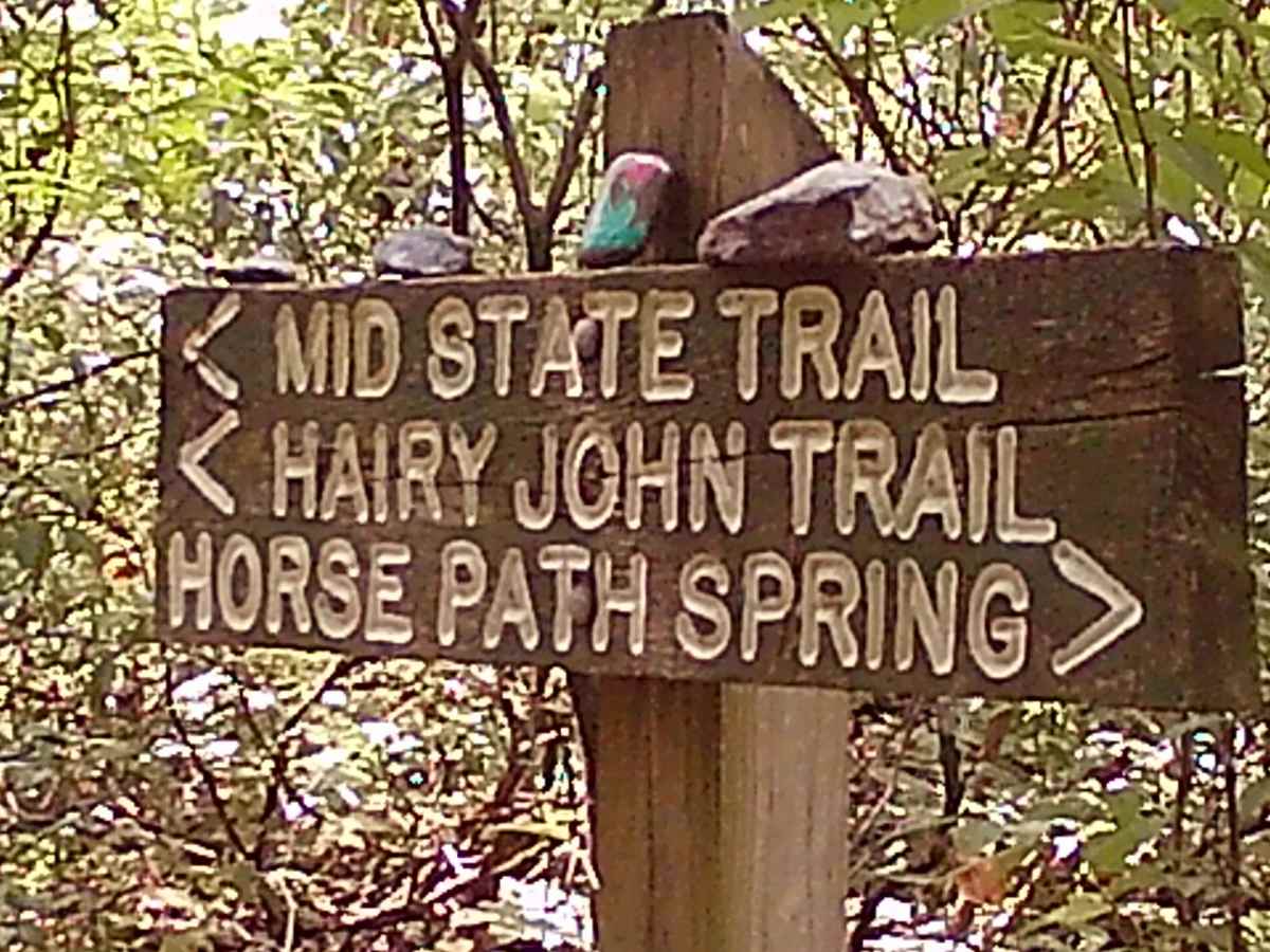 Stover Gap Road photo 6