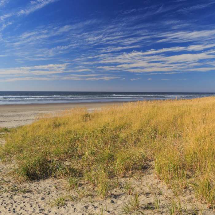 Near Oregon Coast Trail Section 1